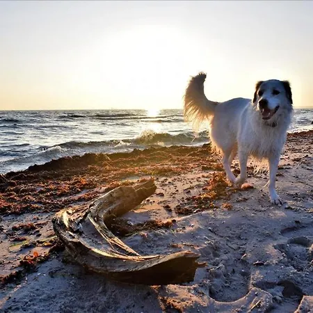 Haus „am Strand“ * Juliusruh
