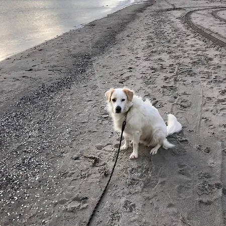 Haus „am Strand“ Apartamento